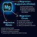 Magnesium Bisglycinate Malate Citrate 3 forms of Zinc Bioactive Vitamin B6 ZMA ZMB Highly Absorbable Manufactured - Buy Online on GoSupps.com