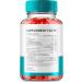 New Vida Keto ACV Gummies 1000MG - Advanced Formula with Apple Cider Vinegar & Vitamin B12 | Maximum Strength Non-GMO | 2 Pack Reviews - Buy Online on GoSupps.com