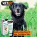 VETIQ Nutri-Vit Plus for Dogs (100g) Dog Supplement with Vitamins & Minerals For Dogs Recovering from Illness Energy & Nutrition Dog Vitamin Paste Essential Dog Vitamins and Supplements - Buy Online on GoSupps.com