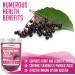 XPRS Nutra Organic Elderberry Juice Powder - Vitamin-Rich Elderberries Supplement - 8 oz - Buy Online on GoSupps.com