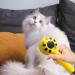 Buy Eactel Pet Care Tools - Ladybug Drafting Ridge for Cats & Dogs | Hand-held Undercoat Tool for All Fur Types - Yellow - Buy Online on GoSupps.com