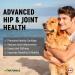 miNATURALS Premium Glucosamine Joint Powder for Dogs Arthritis Pain Relief & Hip Dysplasia Support Reduces Inflammation with Glucosamine Chondroitin MSM and Hyaluronic Acid - Buy Online on GoSupps.com
