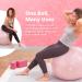 Greater Goods Professional Exercise Ball for Balance, Stability, and Pregnancy - Available in Multiple Sizes and Colors - 65cm Blush Pink - Buy Online on GoSupps.com