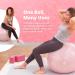 Greater Goods Professional Exercise Ball for Yoga, Balance, and Pregnancy | Multiple Sizes & Colors | Designed in St. Louis - 55cm Blush Pink - Buy Online on GoSupps.com