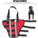 Dog Hind Leg Brace Dog Supplies Dog Health and Supplies Comfort Dog Knee Pads Brace to Heal Pain Caused by Surgery with Reflective Strip Dog Health and (S) - Buy Online on GoSupps.com