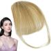 Bang Clip in Hair Extensions - French Bangs Clip on Fake Bangs Fringe Clip on Air Bangs | Neat Bangs Hair Extension Natural Color Fringe Hairpieces Hair Bangs for Daily Wear Wig Accessoriess gray gold - Buy Online on GoSupps.com