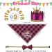 Crown Dog Birthday Hat Set - 4 Cute Reusable Hats & Bandana for Small to Medium Dogs Cats & Puppies - Pink with Gold Numbers - Buy Online on GoSupps.com
