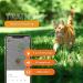 Weeneect XS for Cats - Mini GPS Tracker | Real-Time Tracking | Unlimited Distance | Smallest Model | Collar Included | 2023 Subscription - Buy Online on GoSupps.com