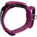 Julius-K9 Adjustable K9 Neck Band with Handle - Pink Gray 40mm (38-53 cm) | Safety Closure & Logo - International Shipping Available - Buy Online on GoSupps.com
