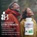 Bronson Elderberry Extra Strength 3000 MG - Supports Healthy Immune System & Antioxidant Protection - Non GMO - 180 Vegetarian Capsules - Buy Online on GoSupps.com