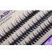 Scala 8-16mm C Curl Fish Tail Design 120pcs Individual False Eyelash Cluster Extension Tools - 14mm - Buy Online on GoSupps.com