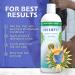 Auromere Ayurvedic Shampoo with Aloe Vera & Neem - Vegan Natural Sulfate & Paraben Free for Dry to Normal Hair - Buy Online on GoSupps.com