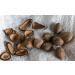 Murumuru Lot de 3 beurres corporels l'huile d'avocat Deliplus 300 ml - Buy Online on GoSupps.com