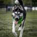 Barkless Dog Muzzle - Soft Silicone Anti-Bite & Chew Enables Drinking & Panting Fits Snout 6 -7 Black | International Shipping - Buy Online on GoSupps.com