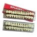 56 Pieces False Teeth Acrylic Resin Denture Tooth Denture Tooth Replacement kit Horror Teeth Prop DIY 22 A2