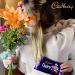 Cadbury Dairy Milk Chocolate - Creamy Milk Chocolate - Delicious Sweet Treat with a Sweet and Full Taste - Dairy Milk 17 x 180g - Buy Online on GoSupps.com