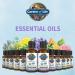 Garden of Life Lavender Essential Oil 30ml - Organic, Pure, Non-GMO for Aromatherapy & Skincare - Buy Online on GoSupps.com