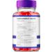 TrimKeto Boost ACV Gummies - Maximum Strength Apple Cider Vinegar & Vitamin B12 - 2 Pack | Keto-Friendly Supplement for Weight Loss - Buy Online on GoSupps.com
