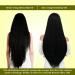 VCare 13+ Herbal Hair Oil With Coconut Castor Almond Olive Jojoba Holy basil Lavender Curry leaf oils for Men and Women | Ideal For All Type Hair Growth - Buy Online on GoSupps.com