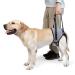 Dotoner dog lifting harness dog food dishes for the hind legs soft dog support loop for injured handicapped small medium and large dogs dog crossing for the hind legs (gray l) l (1 Pack) gray