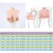 Knobco High Collar Silicone Breast Forms - Realistic Enhancers for Mastectomy Cosplay Halloween & Weddings - Yellow Skin Size H - Buy Online on GoSupps.com