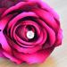 300 pcs Flower Pins Corsages Pins Head Pins Wedding Bouquet Pins Crystal Pins Floral Bouquet Pins Clear Tongcloud (Transparent  2'') Transparent 1 - Buy Online on GoSupps.com