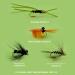 YAZHIDA Fly Fishing Set - Dry Wet & Nymph Flies with Mini Fly Box | Ideal for Crayfish & Stonefly Fishing - International Shipping - Buy Online on GoSupps.com