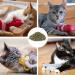 Osdue 100% Natural Catnip - Fillable Bags for Cat Toys Training & Games (50g) | Premium Catnip Mix for Scratching Trees & Beds - Buy Online on GoSupps.com