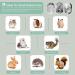 Bissap Sweet Bamboo Chew Sticks for Rabbits - Natural Molar Treats for Small Animals - Teeth Grinding Toys - 500g - Buy Online on GoSupps.com