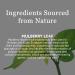 New Nordic Zuccarin Diet - Herbal Supplement to Support a Healthy Lifestyle - Contains White Mulberry Leaf Extract & Green Coffee Bean Extract - 60 Vegan Tablets 1 - Buy Online on GoSupps.com