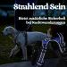 Rabbitgoo Adjustable Dog Harness for Large Dogs - No Choke Anti-Pull Design Soft Padded Reflective Chest Harness Blue XL - 1 Pack - Buy Online on GoSupps.com