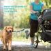 Nova Tree Hands Free Dog Leash with Adjustable Waist Strap-Dual Bungee & Handle Design - Perfect for Running Jogging Walking(Green) - Buy Online on GoSupps.com