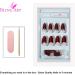 Bling Art Almond False Nails Fake Stiletto Gel Glitter Glossy Acrylic Long 24 Tips Glue (Crystal Passion) - Buy Online on GoSupps.com