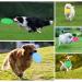 XUBX 7-Piece Dog Frisbee Set | Bite-Resistant Rubber Flying Discs for Training and Play - Buy Online on GoSupps.com