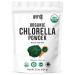 Organic Chlorella Powder, 22 oz, Raw, Premium Superfood Rich in Vegan Protein & Chlorophyll, Non-GMO, Vegan-Friendly Supplement, 312 Servings