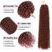 Passion Twist Hair Extensions - 18-Inch Water Wave Crochet Hair (7 Packs) | Boho Styles by YDDM | 350# Color - Buy Online on GoSupps.com