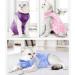 Yoolhamy Katzenbody Professional Recovery Suit for Cats | Post-Op Castration & Abdominal Wound Care | E-Collar Alternative | Blue - Buy Online on GoSupps.com