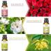 Floral Essential Oils Set - 3 x 30ml Premium Aromatherapy Scents for Diffusers, Home and Skin Care - Buy Online on GoSupps.com