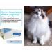MONGGO Q Cat Pregnancy Test 10PCS | Feline RLN Early Pregnancy Test Kit - Buy Online on GoSupps.com