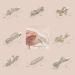 8 Pcs Rhinestone Alligator Hair Clips for Girls and Women - Pearl Crystal Hair Pins for Wedding - White - Buy Online on GoSupps.com