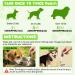 3-in-1 Dog Probiotic Drops - Relieve Diarrhea, Support Gut Health, Immunity & Skin - Bacon Flavor - 60ml - Buy Online on GoSupps.com