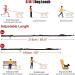 Hands Free Running Dog Lead - Retractable 7FT Long Training Leash for Medium Large Dogs - Reflective Nylon Tape - Ideal for Walking, Hiking, Jogging - Car Seat Belt Leash - Black - Buy Online on GoSupps.com
