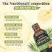 100% Natural Batana Oil for Hair Growth | Nourishes & Prevents Hair Loss | Pure Organic Hair Conditioner - 2.02 Fl Oz - Buy Online on GoSupps.com