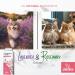 Cat Dry Shampoo Powder with Lavender and Rosemary for Cats 5.29 fl. oz| Grooming for Cat | Kitten Sensitive Skin | Cleansing and Moisturizing Perfume and Talc Free (1) - Buy Online on GoSupps.com