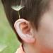 STOBOK Infant Silicone Ear Corrector Set - Newborn Auricle Protection & Aesthetic Correction Tool - Buy Online on GoSupps.com