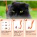 Greoer 3 Pieces of Tick Remover Tools for Dogs Painlessly Tick Removal Tool Multifunctional Tick Remover Kit for Dog Cats Rabbits Ideal Tick Hooks for Pet Shop Home Use Orange - Buy Online on GoSupps.com