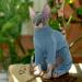 Shop Hjyokuso Sphynx Cat Clothing | Breathable Soft Cat Sweaters & Mantles for Sphynx Cornish Rex Devon Rex - International Shipping Available - Buy Online on GoSupps.com