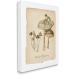 Stupell Industries Marshland Mushrooms & Frog Canvas Wall Art by Carol Robinson 24 x 30 - Buy Online on GoSupps.com