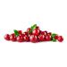 Organic Virgin Cranberry Seed Oil | Imported From Canada | Various Sizes | 100% Pure| Unrefined | Cold-Pressed | Natural Moisturizer for Skin Hair & Face | By Sweet Essentials (2 fl oz Glass) 2 Fl Oz (Pack of 1) - Buy Online on GoSupps.com