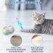 Titipet Interactive Robotic Cat Toy - Auto Rechargeable Feather/Bird/Mouse Toy for Indoor Cats/Kittens - 360 Degree Self Rotating Ball - Buy Online on GoSupps.com